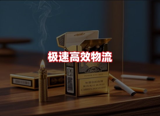 专业团队